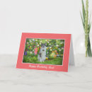 Search for flowers and cats cards Pets