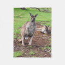 Search for kangaroo blankets Marsupial