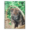Search for belgian notebooks Dog