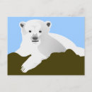Search for white bear postcards Nature