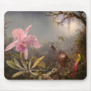Search for hummingbird mouse mats Pink