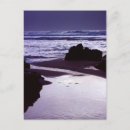 Search for cornwall photography Sea