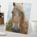 Search for stride Horse