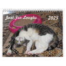 Search for funny cat meme office supplies Cute