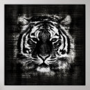 Search for black white tiger posters Wild
