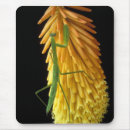 Search for praying mantis mouse mats Green