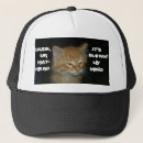 Search for kitties hats Kitten
