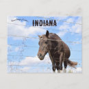 Search for state farm postcards Usa