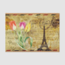 Search for paris tissue paper France