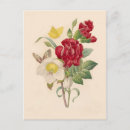 Search for hellebore postcards Garden