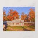 Search for vermont postcards Trees