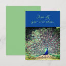Search for tail feathers cards Blue
