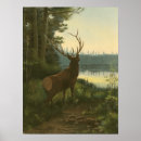 Search for look back posters Animal