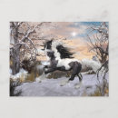 Search for gypsy vanner cards invites Stallion