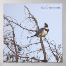 Search for kingfisher gifts Animals