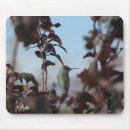 Search for humming electronics Nectar