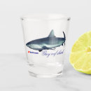 Search for cool shark Summer