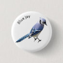 Search for jay badges Nature