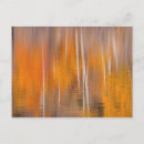 Search for abstract trees postcards Orange