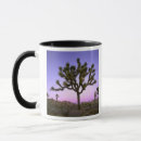 Search for joshua tree california mugs Landscape