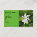 Search for jasmine business cards White