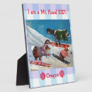 Search for ski team Snow