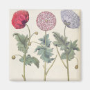 Search for papaver magnets Pre 19th