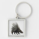 Search for animal protection key rings Colour image