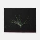 Search for live oak photography Black