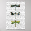 Search for vintage dragonfly posters Antique