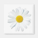 Search for single flowered magnets Garden