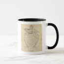 Search for descriptive mugs Maps