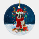 Search for saint bernard dog christmas tree decorations Pet
