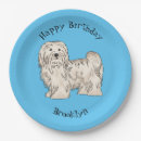 Search for havanese dog Pet