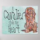 Search for cavalier spaniel king charles posters Ruby
