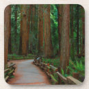 Search for marin coasters Anna miller