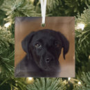 Search for labrador retriever christmas tree decorations Puppy
