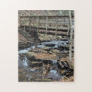 Search for fall foliage puzzles Waterfall