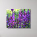 Search for lilac canvas prints Photography