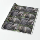 Search for grizzlies wrapping paper Birthday