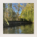Search for willow tree Leaves