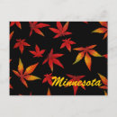 Search for minnesota postcards Autumn
