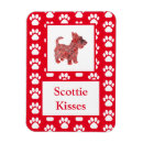 Search for scotty magnets Animals