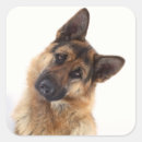 Search for funny german stickers Shepherd