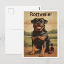 Search for rotty postcards Dogs