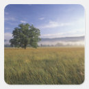 Search for great smokey mountains stickers Landscape