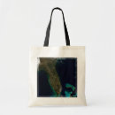 Search for observation bags Topography