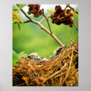 Search for cute chick art Animal