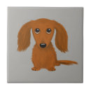 Search for long tiles Dachshund