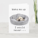 Search for waking up cards Funny